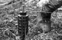 В лесополосе на Луганщине боец АТО подорвался на мине